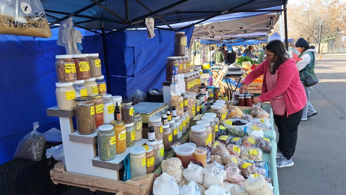 LOS ALUMNOS DE LAS ESCUELAS AGROTÉCNICAS CONTINÚAN TRABAJANDO JUNTO A LA FERIA FRANCA MUNICIPAL