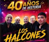 LOS HALCONES