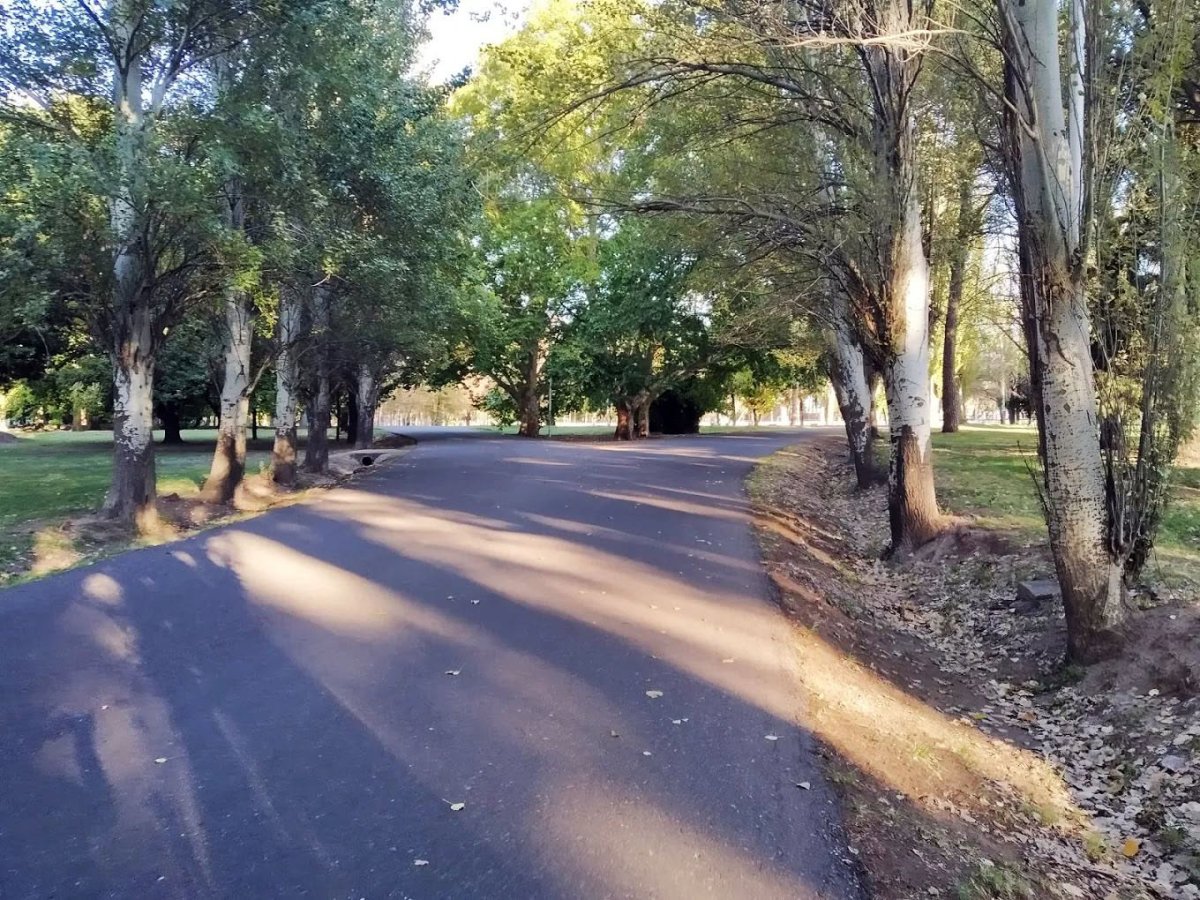 ZONDA: POR PREVENCIÓN SE CERRARON LAS CALLES INTERNAS DEL PARQUE HIPÓLITO YRIGOYEN