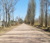 Las Paredes